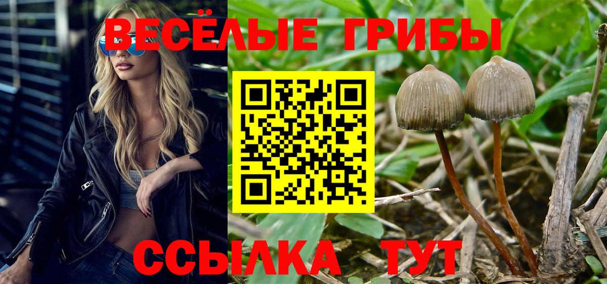 Галлюциногенные грибы GOLDEN TEACHER Зерноград